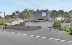 DSC02333 kopie¨ren.jpg